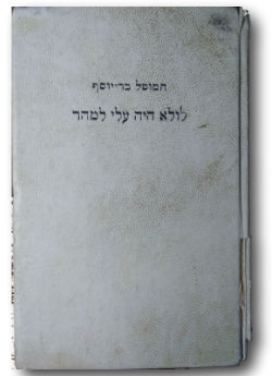 לולא היה עלי למהר